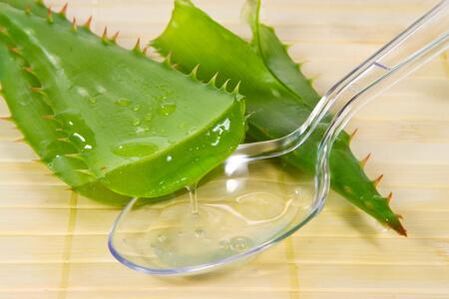 Kalanchoe suyu prostatiti tedavi etmek için kullanılır